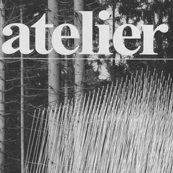 Raap - Atelier-Magazin - TV NS Kunststreit um Kraniche - Titelseite - 03.10.14 [Ausschn.]